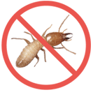 No Termites!